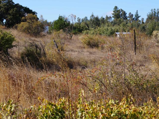 Terreno en Venta en Quillón