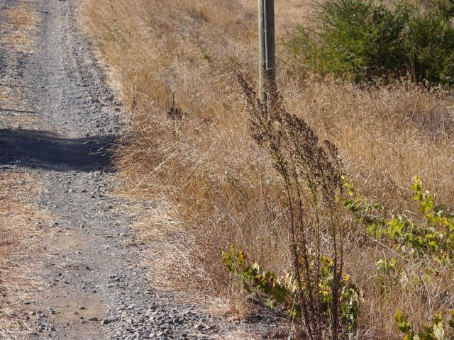 Terreno en Venta en Quillón