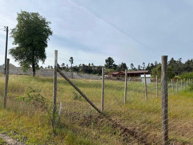 Terreno en venta en Diguillín, San Ignacio