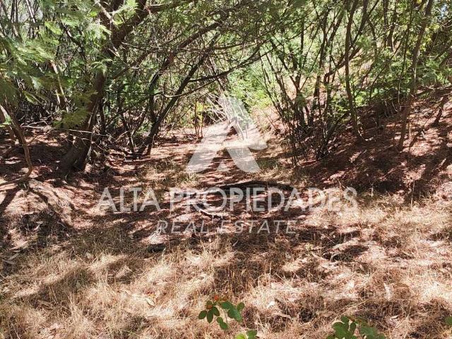 Terreno en venta en Diguillín, San Ignacio