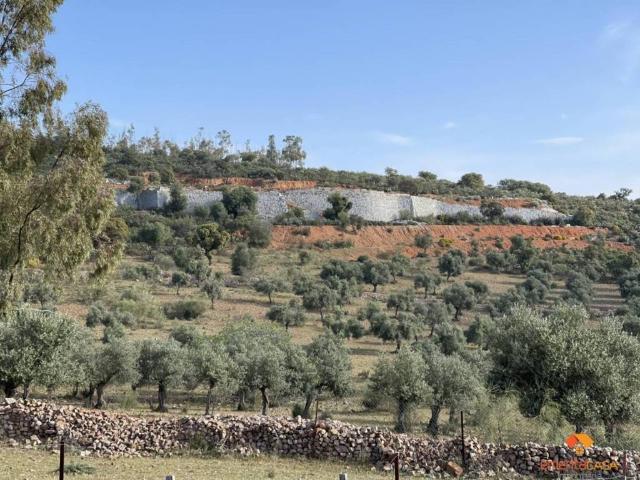 Terreno en venta en Quintana De La Serena, Extremadura