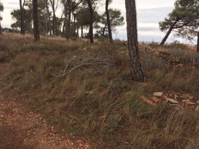 Terreno en venta en Quintanar Del Rey, Castilla-La Mancha