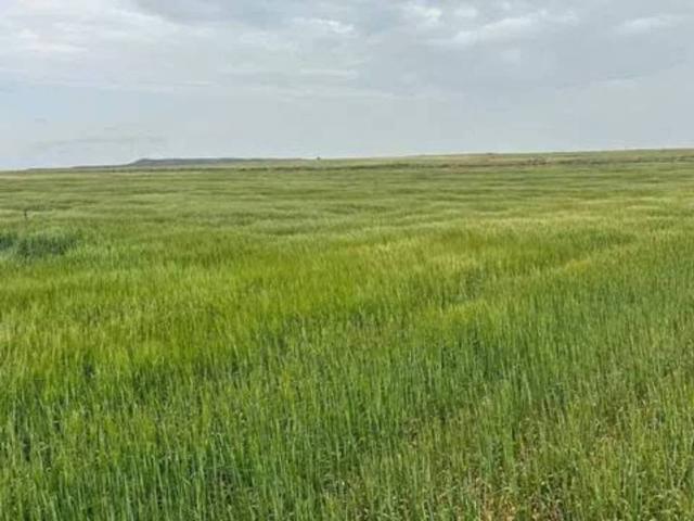 Terreno en venta en Ribera Baja del Ebro, Aragón