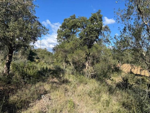 Terreno en venta en Alt Empordà, Catalunya