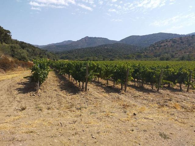 Terreno en venta en Alt Empordà, Catalunya
