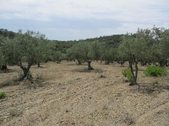 Terreno en venta en Alt Empordà, Catalunya