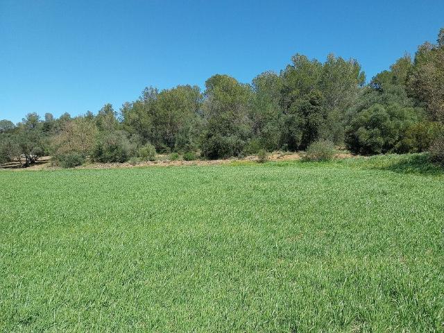 Terreno en venta en Alt Empordà, Catalunya