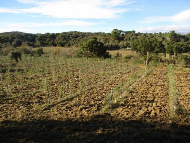 Terreno en venta en Alt Empordà, Catalunya