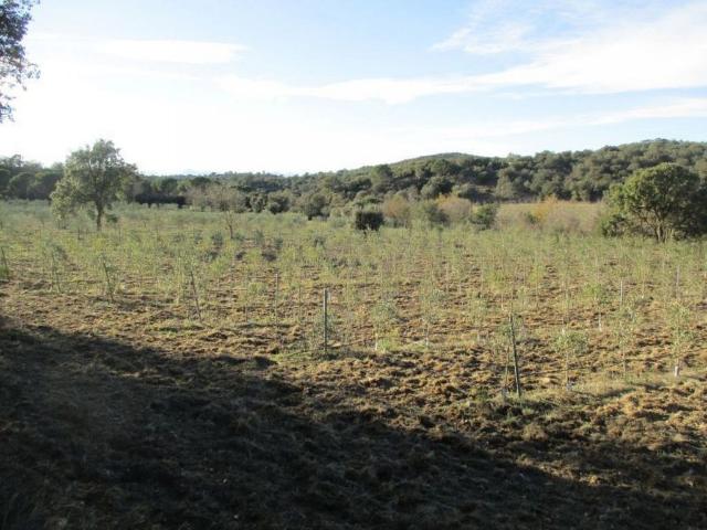 Terreno en venta en Alt Empordà, Catalunya
