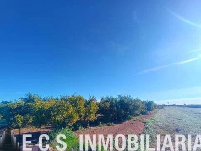 Terreno en venta en l'Horta Nord, Valencia