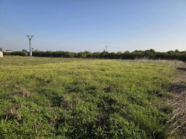 Terreno en venta en la Safor, Valencia