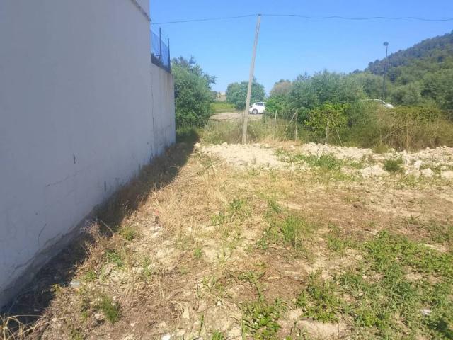 Terreno en venta en la Safor, Valencia