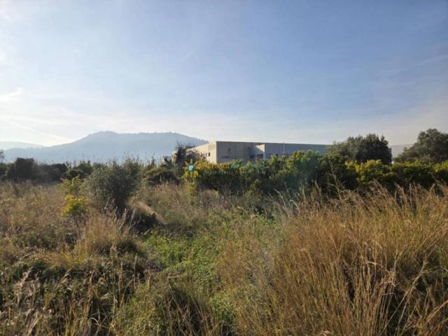 Terreno en venta en la Safor, Valencia