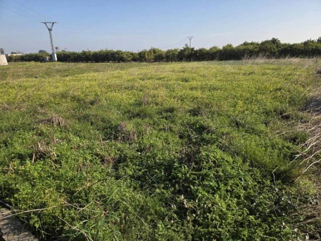 Terreno en venta en la Safor, Valencia
