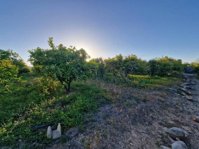 Terreno en venta en la Safor, Valencia