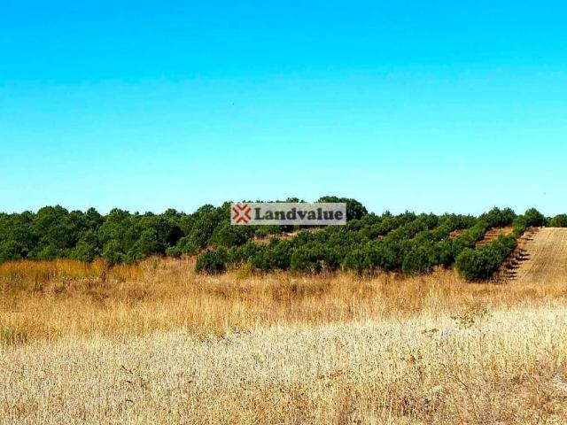 Terreno en venta en Rágama, Castilla y León