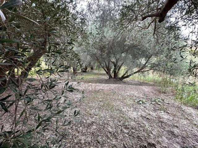 Terreno en venta en Rágol, Andalucía
