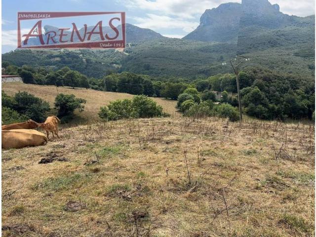 Terreno en venta en Ramales De La Victoria, Cantabria