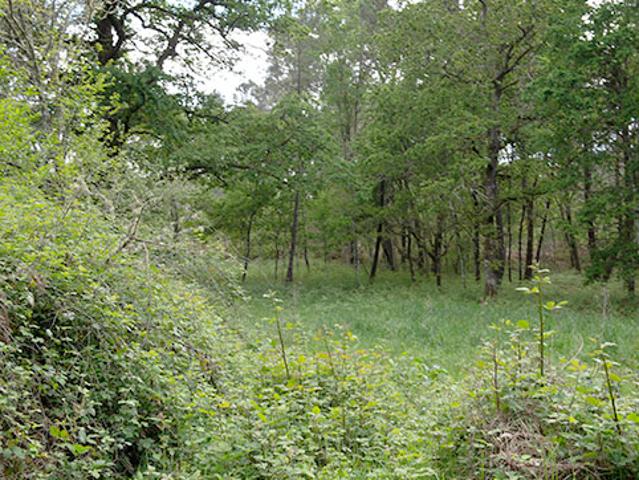 Terreno en venta en Ramirás, Terra da Celanova