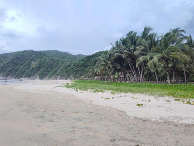 Terreno en Venta en Rancho Mahagua Manzanillo