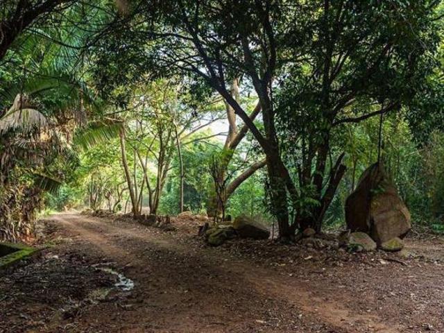 Terreno en Venta en Rancho Mahagua Manzanillo