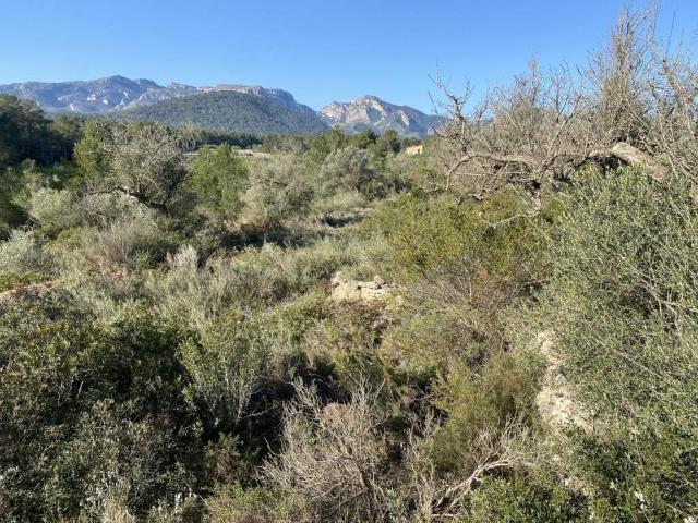 Terreno en venta en Rasquera