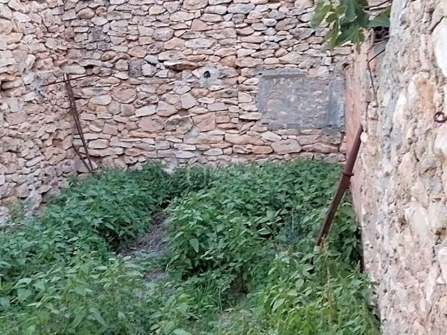 Terreno en venta en Ribera d'Ebre, Catalunya