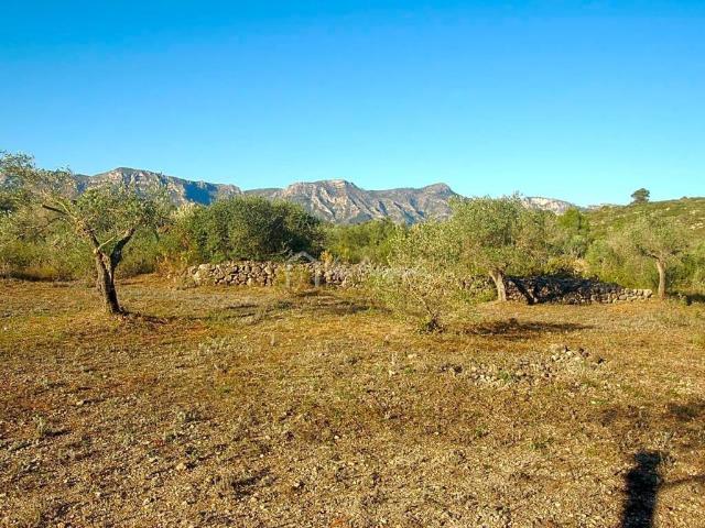 Terreno en venta en Rasquera
