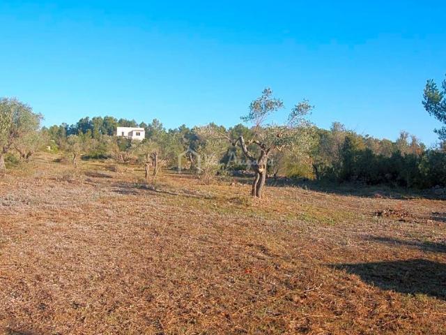 Terreno en venta en Ribera d'Ebre, Catalunya