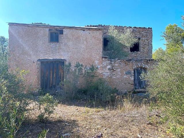 Terreno en venta en Ribera d'Ebre, Catalunya