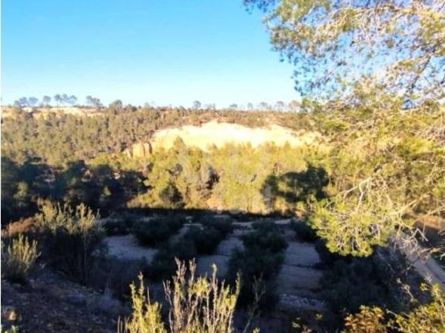 Terreno en venta en Rasquera