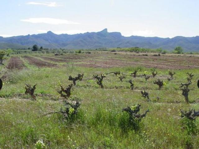 Terreno en venta en Rasquera