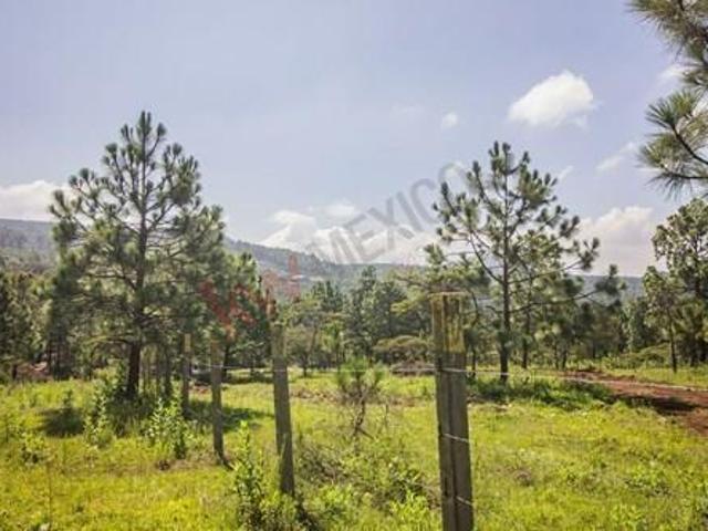 Terreno en venta en Real de Encinos, Tapalpa, Jalisco
