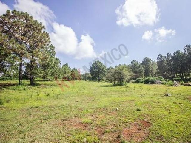 Terreno en venta en Real de Encinos, Tapalpa, Jalisco