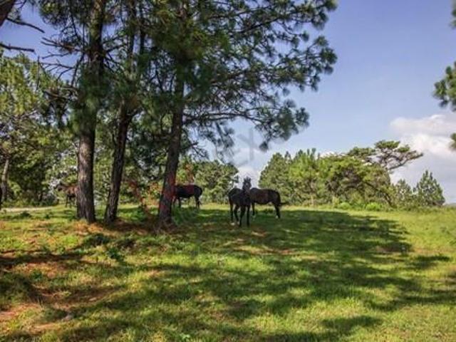 Terreno en venta en Real de Encinos, Tapalpa, Jalisco