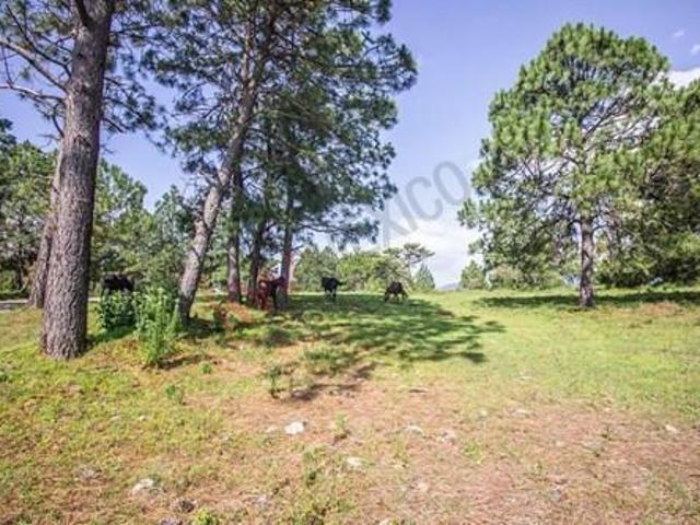 Terreno en venta en Real de Encinos, Tapalpa, Jalisco