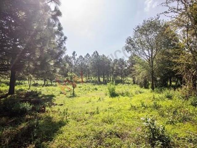 Terreno en venta en Real de Encinos, Tapalpa, Jalisco