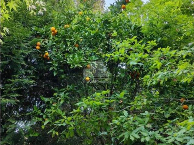Terreno en venta en Vigo, Galicia