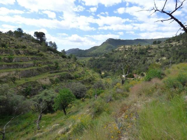 Terreno en venta en l'Alacantí, Valencia