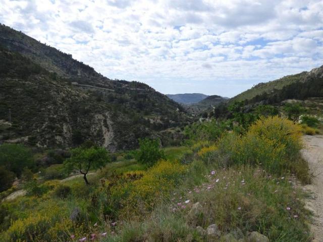 Terreno en venta en l'Alacantí, Valencia