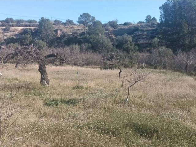 Terreno en venta en la Marina Baixa, Valencia