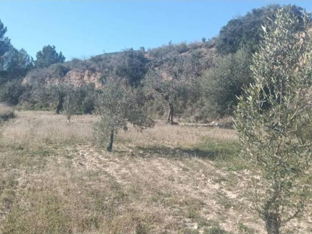 Terreno en venta en la Marina Baixa, Valencia