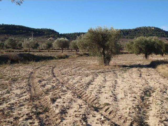 Terreno en venta en la Marina Baixa, Valencia