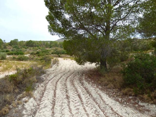Terreno en venta en la Marina Baixa, Valencia