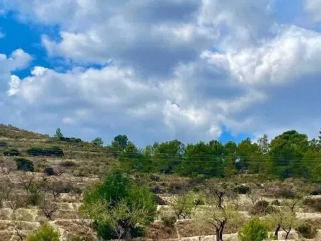 Terreno en venta en la Marina Baixa, Valencia