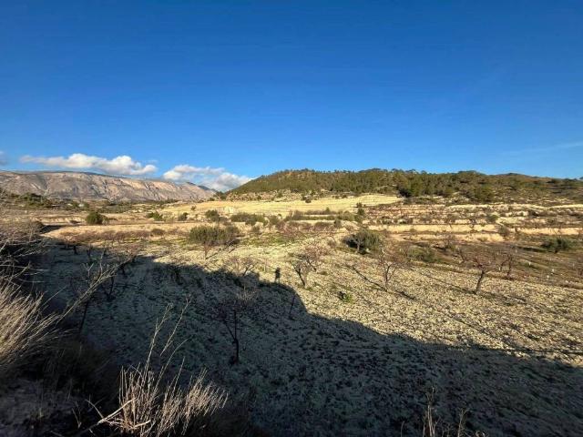 Terreno en venta en la Marina Baixa, Valencia