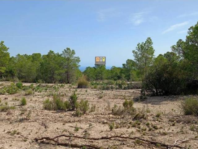 Terreno en venta en la Marina Baixa, Valencia