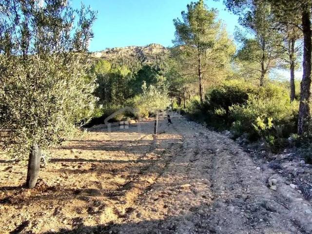 Terreno en venta en la Marina Baixa, Valencia