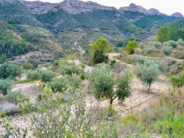 Terreno en venta en la Marina Baixa, Valencia