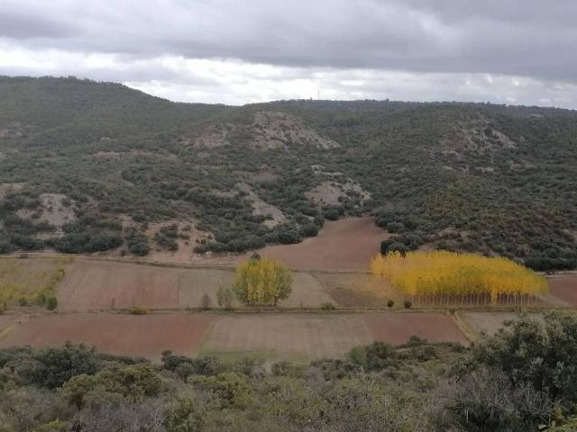 Terreno en venta en Renera, Castilla-La Mancha
